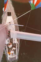 From the top of our Mast